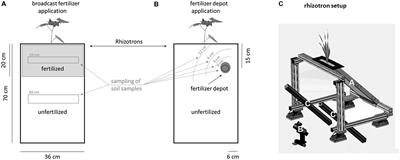 Coming Late for Dinner: Localized Digestate Depot Fertilization for Extensive Cultivation of Marginal Soil With Sida hermaphrodita